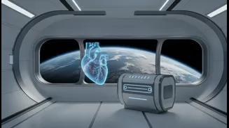 Menon's Journey Highlights The Growing Importance Of Doctors In Human Spaceflight