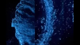 Juhu Beach Glows At Night: What Is Bioluminescence? Can We Watch It With Naked Eyes? Is It Open For All?