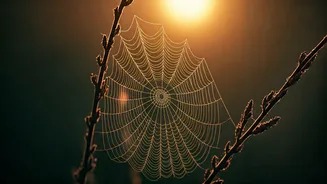 Unlock Your Day: 5 AM Affirmations for a Powerful Sunrise Mindset