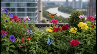 Greener Balconies Are Helping Pollinators Flourish