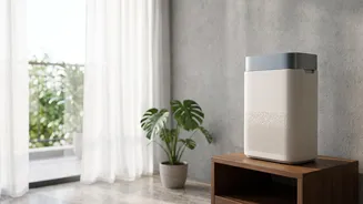 The September Home Checklist Every Urban Renter Should Follow After The Monsoon