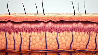 Skincare Demystified: Patience, Awareness, and Safety