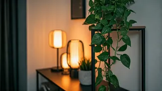 Trailing Devil Ivy And Soft Ambient Lamps Redefine Rental Aesthetics