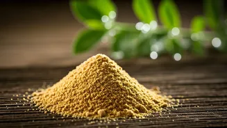 Unpacking the Flax Seed Powerhouse: 5 Health Benefits