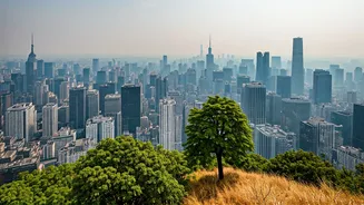 Outdoor Exercise & Air Pollution: Brain Health