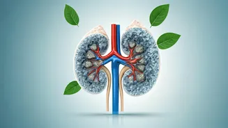 Young Professionals Beware: Salty Snacks & AC Offices Fueling Alarming Rise in Kidney Stones