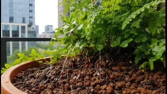 How Smart Balcony Garden Design Starts With High-Porosity Substrates Capable Of Shedding Multi-Inch Rains
