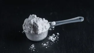 O mito caiu? Estudo da Unesp revela a verdade sobre o suposto efeito anti-inflamatório da creatina