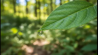 Why the Story around State of India's Environment 2026 Is Growing More Relevant in India