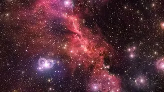 James Webb Captures the Lion Nebula's Dusty Mane using NIRCam and MIRI