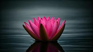 Upholding Inner Dignity: Bhagavad Gita Wisdom for Emotional Resilience