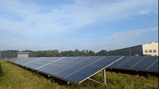 India's Renewable Energy Growth Positions It as Green Hydrogen Exporter