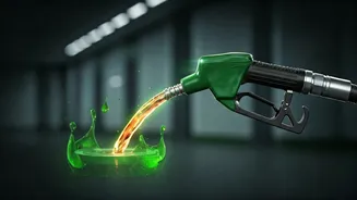 Biofuel Debate Expands After India's E20 Rollout