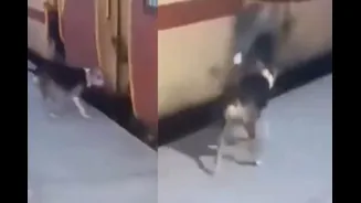 ‘Station Security Ki Puri Zimmedari’: ‘Dogesh’ Bhai Bites Back As Man Leans Out Of Moving Train | Video