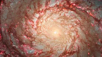 A Closer Look at Changes in Andromeda's Star Birth Through Hubble's Andromeda Star-Formation Study