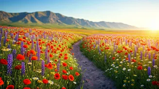 Bloom-Season Travel Is The Anti-Crowd Plan