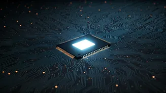 India's AI Scene: Top 5 Startups Defining the Future