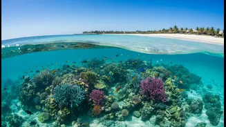 Better Ocean Science Could Support Safer Beaches And Healthier Fisheries