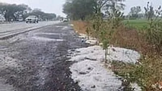 MP News: Farmers Stare At Crop Loss As Rain, Hailstorm Pound Neemuch