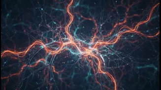 How newly discovered skeleton structures inside brain cells adapt to cognitive stimulation