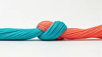 Navigating Cultural Clashes: Thriving in Love's Journey