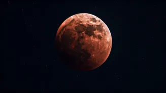 Related Stories banner