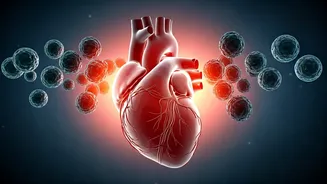 Heart Attack Alert: 80% of Indians Face Dangerous Lipid Levels – Are You at Risk?