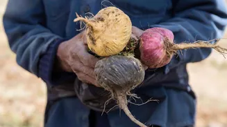 This Peruvian superfood is a foodie's favorite