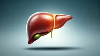Reversing Fatty Liver: Office Habits Harming Your Liver and Simple Lifestyle Fixes