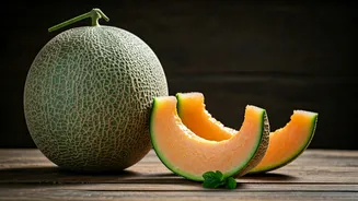 Summer Melon Magic: Savvy Storage Tips for Luscious Muskmelon