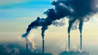 Air Pollution And Dementia Study: What To Know About Reported 14 Per Cent Association