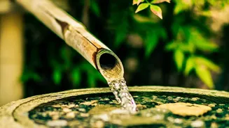 The Low-Water Gardening Shift Brings New Attention To Water-Smart Garden Design