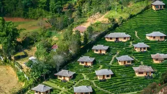 Budget-Friendly Plantation Retreats Make Great Weekend Escapes