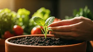The Home Garden Movement Grows