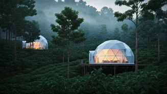 Misty Cardamom Estates Host Stunning Geodesic Glamping Domes Tonight