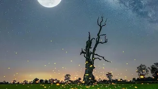August Astronomy In India: What Remains To Explore Before September