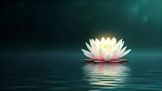 Sadhguru's Wisdom: Let Your Heart's Intelligence Guide Your Life's Journey