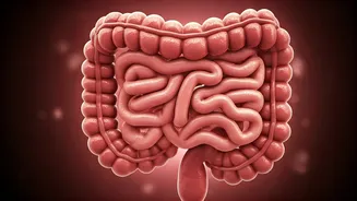 5 Vitamin D Truths: Gastroenterologist's Essential Guide