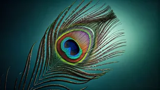 Optical Illusion: Birds or Man? Discover Your Inner World