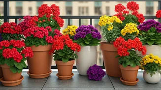 Balcony Gardens Are Ready For Festive Flower Energy