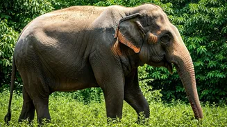 Related Stories banner