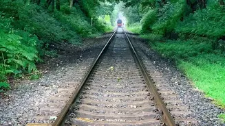 How Travellers Enjoy Lush Monsoon Views On Konkan Rail Outings Over Independence Day Weekend