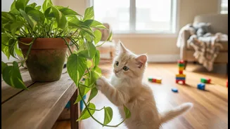 Children and Pets Change Where Plants Can Be Placed Safely