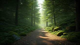 Green Trips Feel Better Than Crowded Beaches