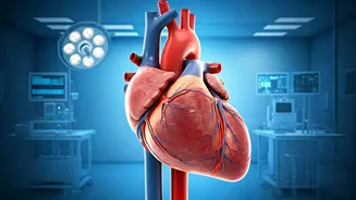 Know Your Heart: Risks and How to Manage Them