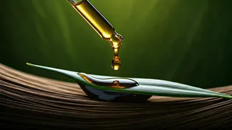 Unlocking Hair Growth: The Authentic Guide to Using Kalonji Oil for Thicker, Stronger Locks