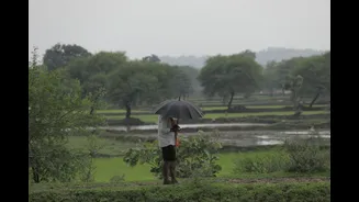 August-September monsoon outlook is out, and no heatwave is on the cards