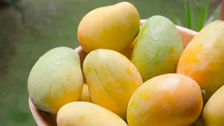 National Mango Day 2026: ರಾಷ್ಟ್ರೀಯ ಮಾವು ದಿನದ ಇತಿಹಾಸ, ಮಹತ್ವವನ್ನು ತಿಳಿದುಕೊಳ್ಳಿ