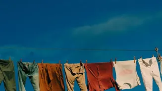 Shared Homes Should Stagger Laundry When Humidity Slows Drying