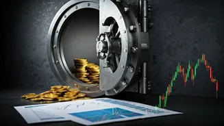 Avoid Financial Panic Holding Large Emergency Vaults Before Buying Shares